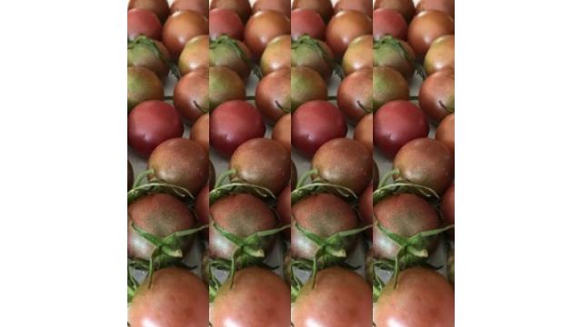 プレミアムジャパンにインタビュー