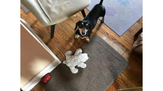 ぴの耳より情報 (11/20) 「ブルックリン物語#46」をお届けします。