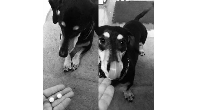 人生辞められない！