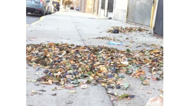 突然。瞬間。舞い上がる。