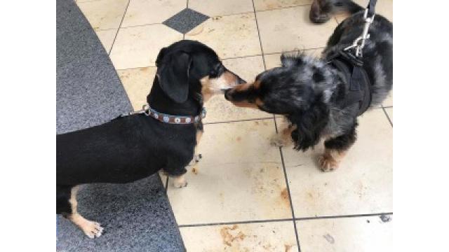 ぴの耳より情報 (11/30) 11月最終日はアミーゴ千里から。