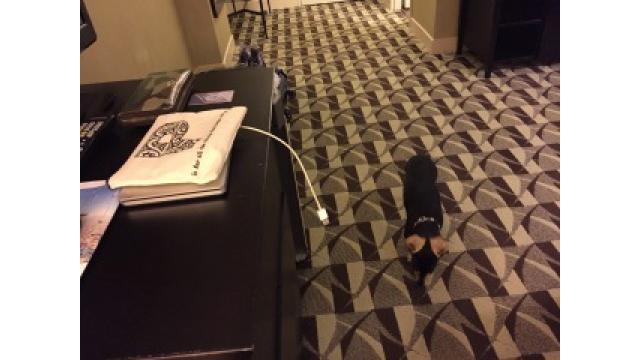 ミネアポリスからシカゴへ