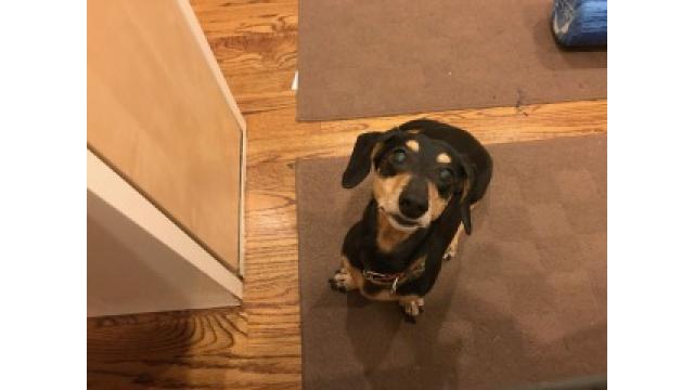 ぴの耳より情報(12/14) 今年、話題になった鶏の胸肉レシピを更新します。