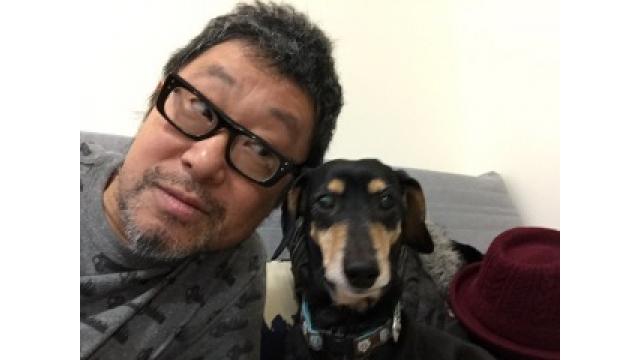 暮れの元気なご挨拶