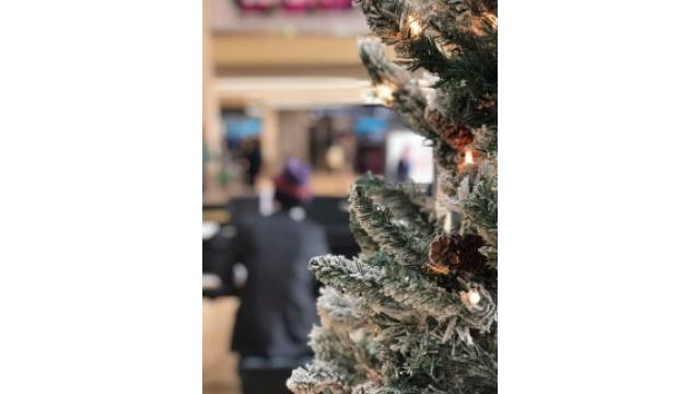 ブルックリン物語 #47　“A Place In The Sun”  太陽のあたる場所