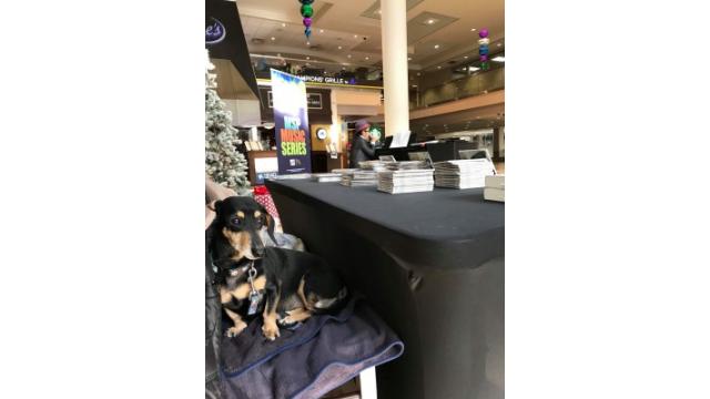 ぴの耳より情報 (12/28) 