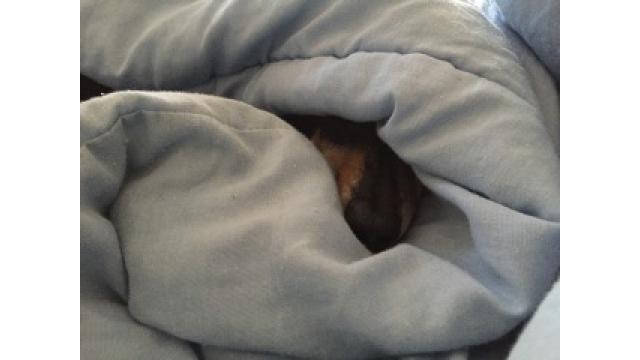 マイナス10度越え