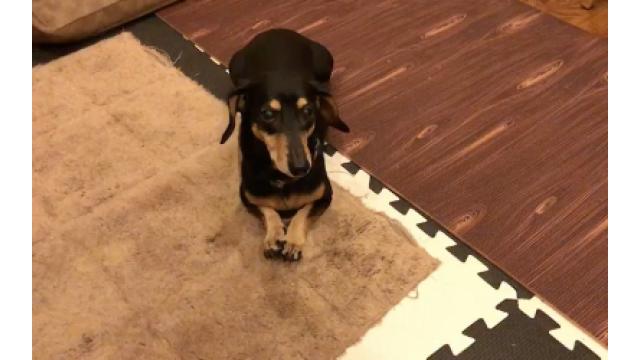 ぴの耳より情 (3/22) ROUDOKU*SHO #3できました!