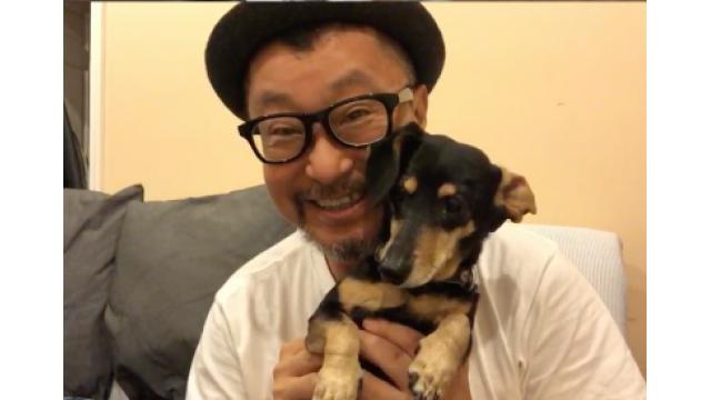 アミーゴ千里のお悩み相談 022「ガマンするのも母心?」