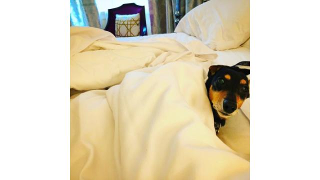 美空ひばりはいつもセンター！