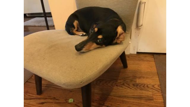 ブルックリン物語 #51 きみの友だち ”You’ve Got A Friends”