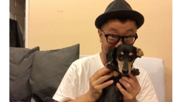 ぴの耳より情報 (4/26) 本日の更新は「英語力についてのお悩み」