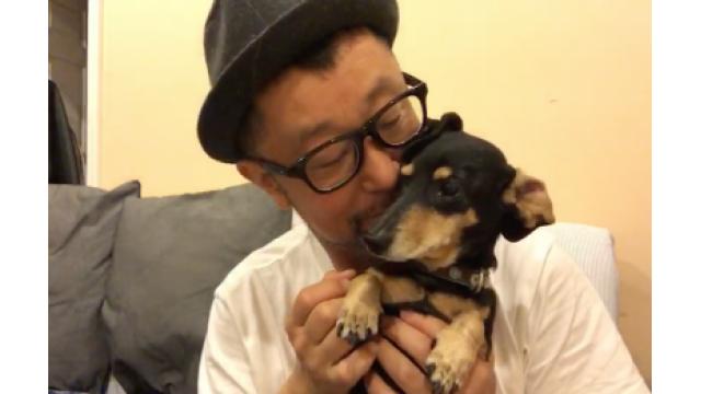 アミーゴ千里のお悩み相談 024 「留学前の英語力はどのくらい?」