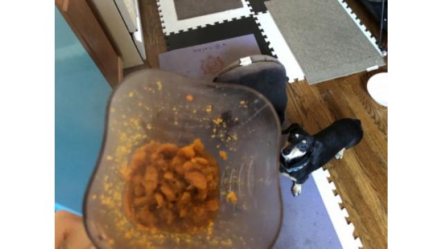 ぴの耳より情報 (5/3) GWは自炊のレパートリーを広げるチャンス!