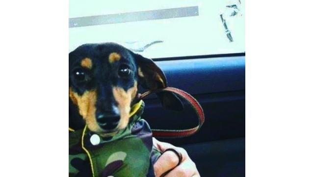 アメリカに渡る日 成田に向かう車中のぴ！