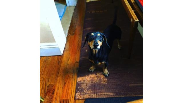 目力100万馬力さ！