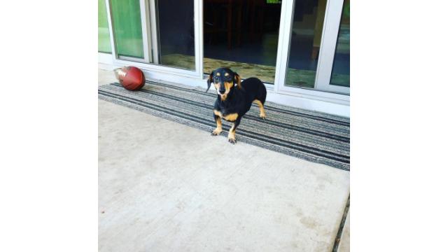 ぴの耳より情報 (6/21) 本日は夏至。夏野菜をすっぴんで!