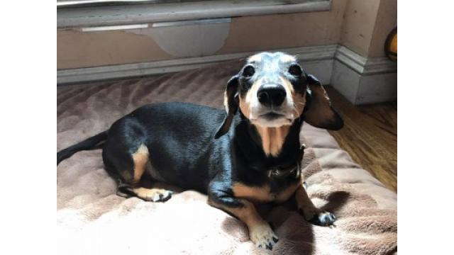 ぴの耳より追加情報 (7/12) ラジオ登板スケジュール!