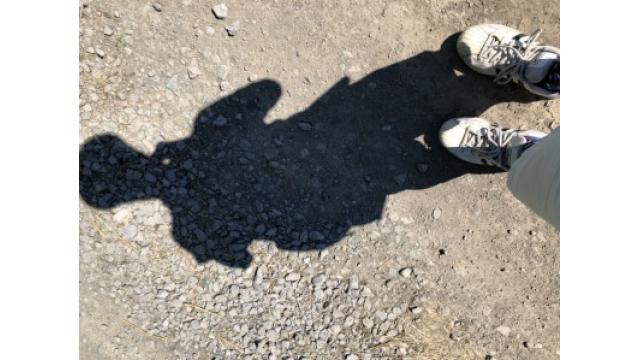 ぴの耳より情報 (7/20) 更新のお知らせ!