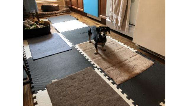 ぴの耳より情報 (8/23) 今週はは大江屋レシピ、ボナセーラです。