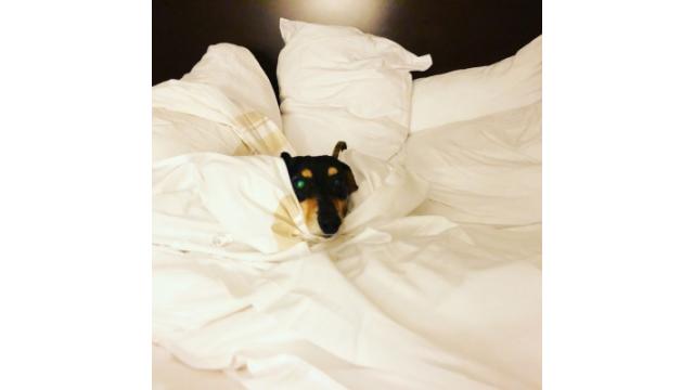 BuzzFeedのインタビューが掲載されましたよ。