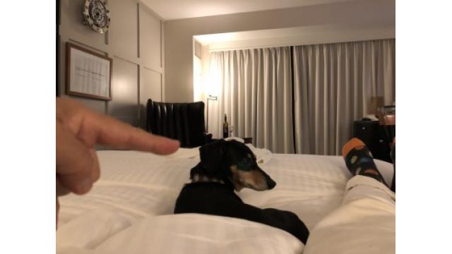 ぴの耳より情報 (9/13) セトリ通信ボストン、第2弾!