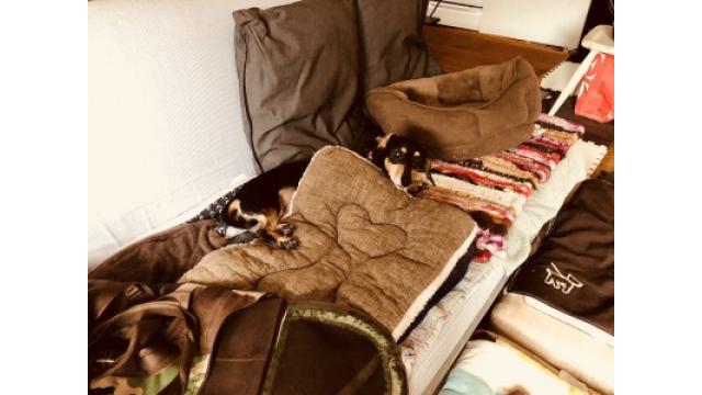 今日はカナダの音楽ライターRickeyの電話インタビュー