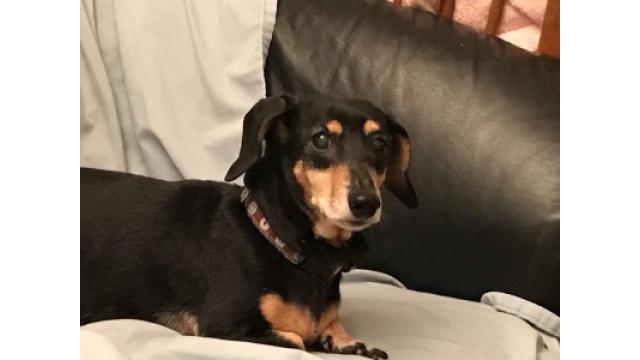 なによ！結構上から！