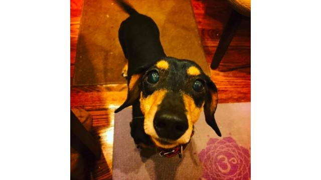 ぴの耳より情報(11/29) 2018年もあと33日!