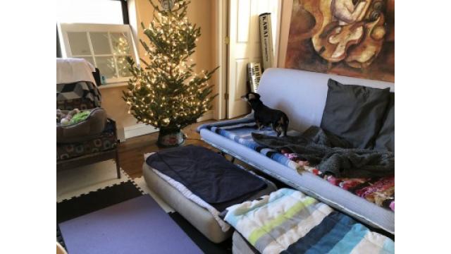 ぴの耳より情報 (2/7) 