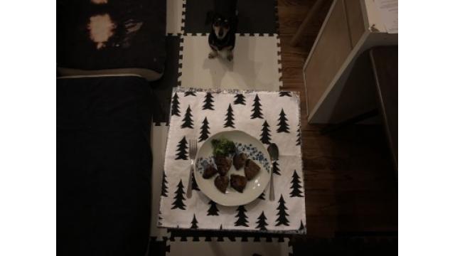 ぴの耳より情報(2/28) 2月の最終日! 今日の更新はなんでしょう?