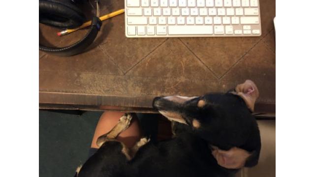 ぴの耳より情報 (3/14)本日は「ブルックリン物語 #58」をアップします。