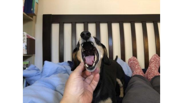 Dad makes me nervous.