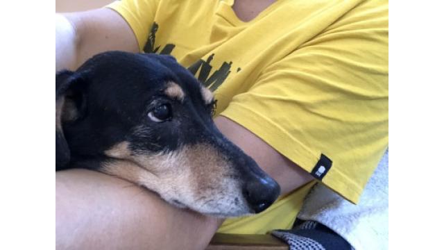 ぴの耳より情報 (5/9) 腕まくらしなくちゃ意味ないね。