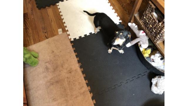 ぴの耳より情報 (6/6) カンタンお洒落、食卓にうれしい小鉢2品