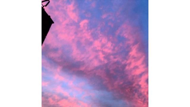 光の小道が長くなった気がする。