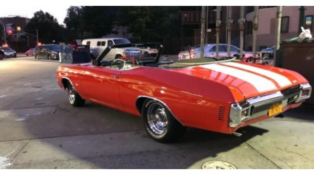 Early Birdが鳴いている。