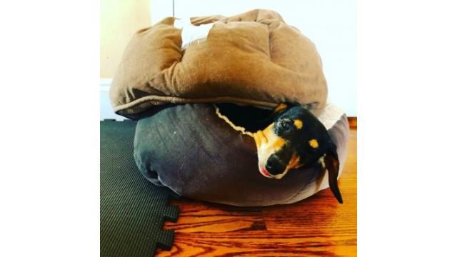 ぴの耳より情報 (9/26) 小腹すきませんか?