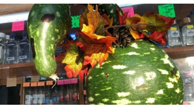 なんてこった。