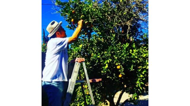 News Week Japan,日常を綴る大江千里のエッセイがスタートしました！