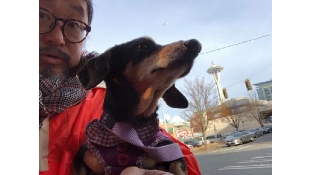 ぴの耳より情報 (11/21)ロスでーす。