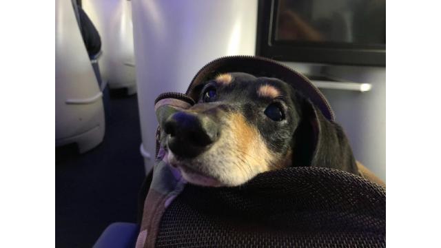 ブルックリン物語 #62 ”There Will Never Be Another You”