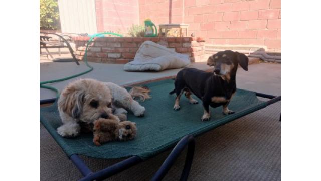 ぴの耳より情報(1/2) haPpy new year!