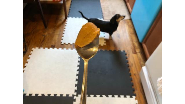 ぴの耳より情報 (1/9) パンパカパーン! 重大発表です!