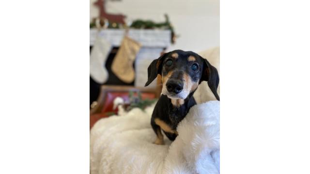 ぴの耳より情報(2020/1/16)♪ちょっと待ってくださ〜い♪