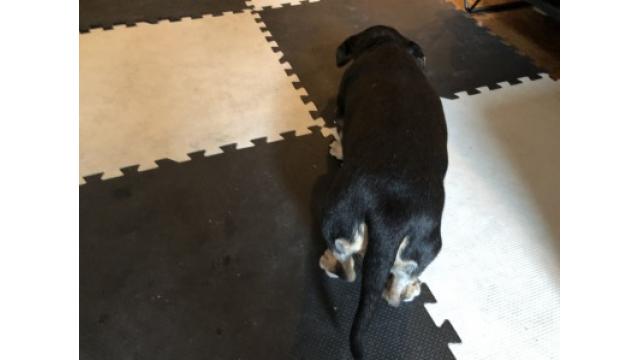 ぴの耳より情報(1/23) 「1月22日の音声」で予告したように、「KANSAI DAYS』お届けです!