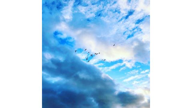 ぴの耳より重要情報(2/19)新型コロナウイルスに関しまして