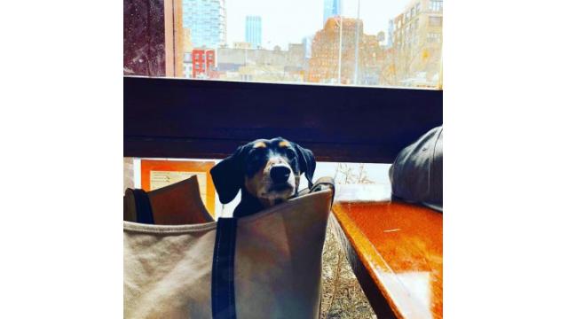 ぴの耳より情報(2/20) 大切なお知らせ&「Senri Jazz Times Vol.2」開店