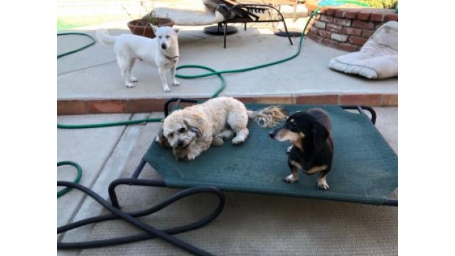 【Senri Jazz Times　Vol.2】　Members of Senri Oe Trio