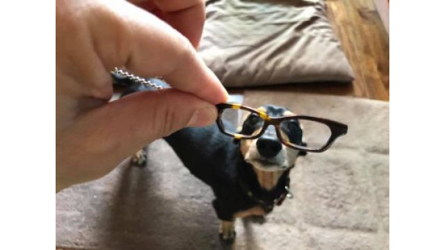 「春は必ずやってくる2020お楽しみ袋」をお楽しみください。